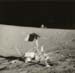 Lunar Surveyor